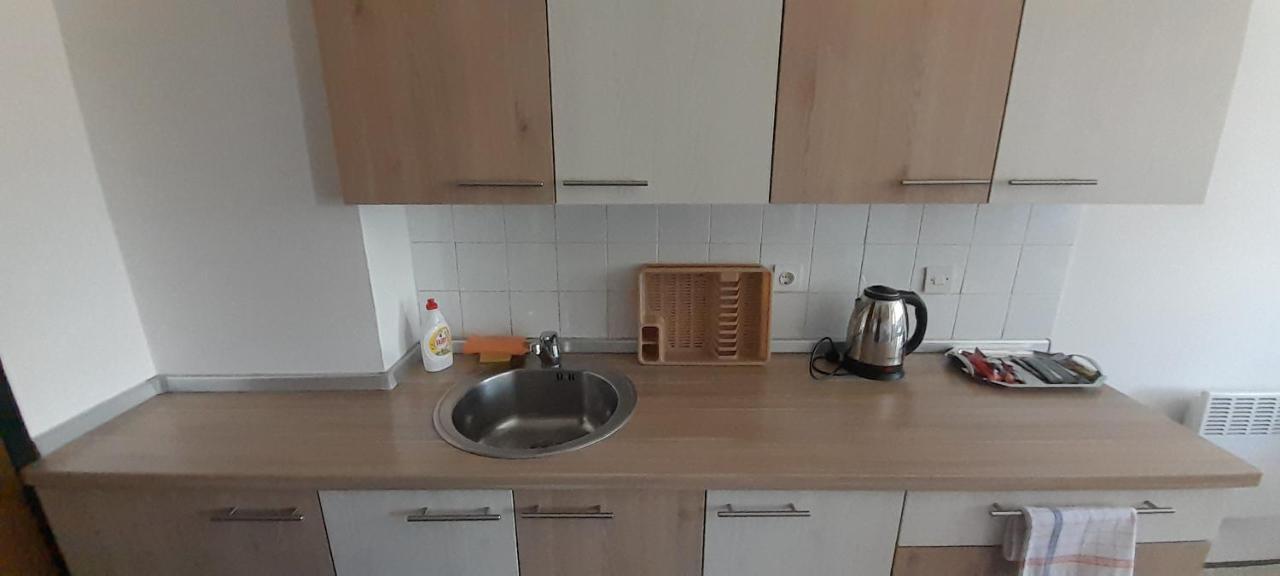سراييفو Cozy And Sunny Apartment Near The Airport المظهر الخارجي الصورة